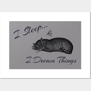 I Sleep and I Dream Things Posters and Art